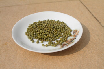 Mung bean is a type of palawija that is widely known in the tropics. Plants belonging to the legume tribe have many benefits in everyday life as a source of high vegetable protein food.