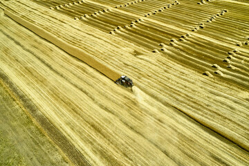 a combine harvester harvesting a field of wheat rural landscape