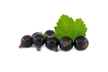 Blackcurrant berries with leaf over white