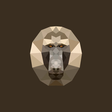 The Baboon polygon illustration