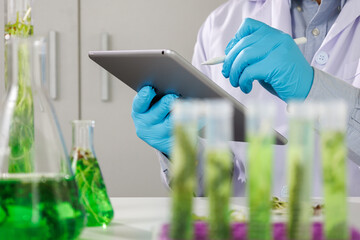 biotechnology Doctor using tablet and check with biofuel industry project, Algae research in industrial laboratories for medicine    Medical science and biotechnology.