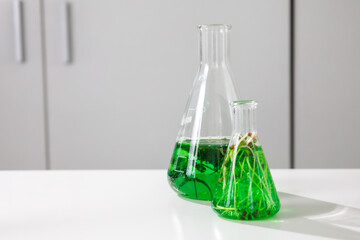 research and Biotech science Scientists are developing research on algae. Bio-energy, biofuel,...
