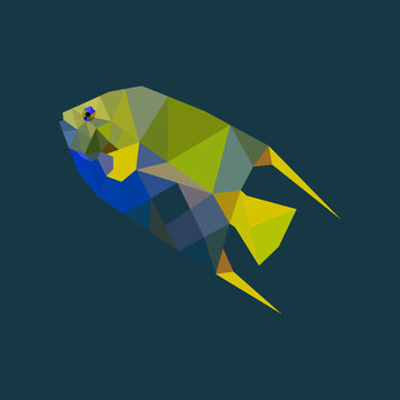 The Angelfish Polygon Illustration 