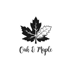oak and maple leaf logo, autumn leaves