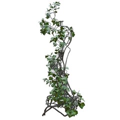 Climbing plants creepers vine isolated on white background 3d illustration