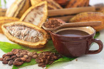Close up a cup of chocolate drink with fresh cocoa fruits, Pile cocoa powder in spoon on cup, cutting cocoa pods in half show the inside of raw cacao beans, on white wooden table, selective focus