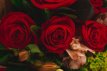 Flor Roja Rosa Roja 