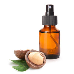 Bottle of natural cosmetic product with macadamia nut on white background
