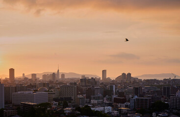 Obraz premium 福岡の夕景