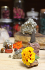 Incense Cone on Stone With Crystals and Flowers. Meditation Table