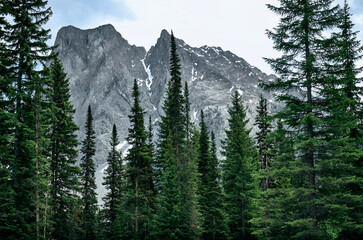 Mountain landscape of Canadian Rockies, Yoho National Park, British Columbia, Canada