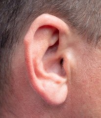 Obraz premium The ear of a man.