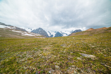 Fototapeta premium Scenic panoramic view from sunlit green grassy hill to high snowy mountain range with sharp tops and glaciers under gray cloudy sky. Colorful landscape with large snow mountains at changeable weather.