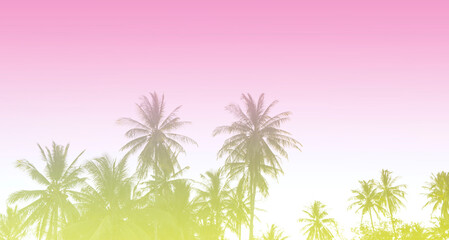 Fototapeta na wymiar Summer colorful theme with palm trees background as texture frame image background