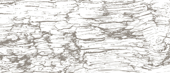 Obraz premium Grunge wooden texture of old log