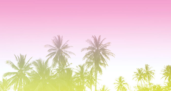 Summer colorful theme with palm trees background as texture frame image background