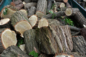 Trailer load of firewood