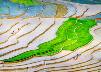 Beautiful landscape of rice terraces in watering season. Location: Northern Vietnam.