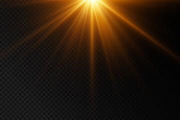 Obraz premium Light effect. Golden bright star, yellow sun. Starlight.