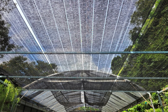 Low angle view black shading net pattern texture and background. Weaved plastic shade to protect and avoid direct sunlight that could harm.