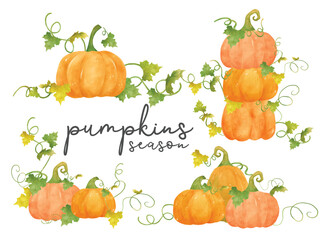 watercolor orange pumpkin with leaf and vine hand drawn painting illustration vector banner