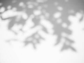 Blur Gray cement shadow leaves background. interior old rough surface texture dark black white...