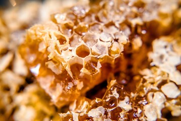 honey in honeycombs shot close-up
