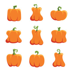 A set of cartoon icons pumpkin. Vector collection of cute hand drawn pumpkins on white background. Elements for autumn decorative design, halloween invitation, harvest thanksgiving.