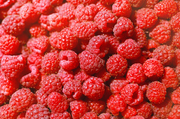 Fresh juicy ripe raspberry. Season of fruit and jam cooking. Raspberry group. Summer berries harvest season. Delicious and healthy dessert. Bright berry background. Space for text.