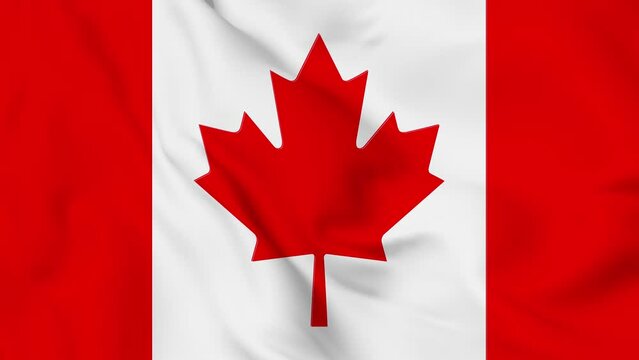 Canada  flag seamless closeup waving animation. 