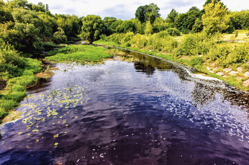 the river is endlessly overgrown with grass, weeds and trees