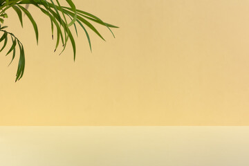 Minimal abstract scene for the presentation of a cosmetic product. Premium podium with tropical...