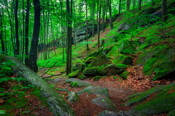 A beautiful landscape of the trail in the Giant Mountains to the Chojnik Castle. Poland