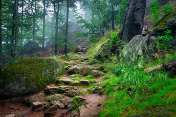 A foggy landscape of stairs from hellish Valley to Chojnik Castle in the Karkonosze Mountains. Poland