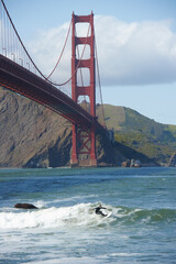 Golden Gate Surf