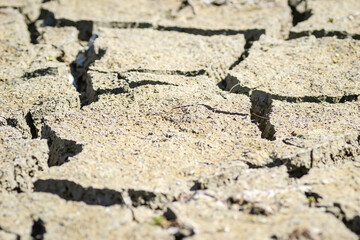 Dry parched land. A view of dry parched land in a parched riverbed.