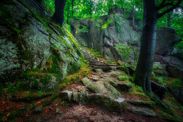 A foggy landscape of stairs from hellish Valley to Chojnik Castle in the Karkonosze Mountains....