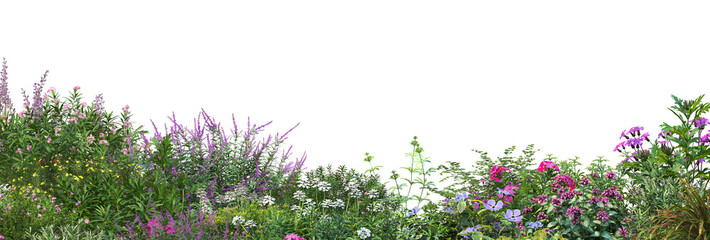 Colorful flower garden on a white background