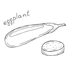 Eggplant vector illustration, hand drawing sketch