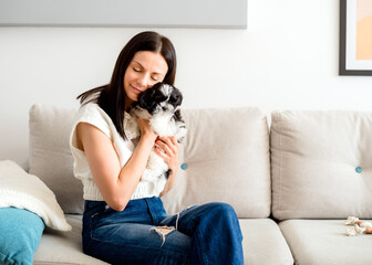 Young beautiful woman hugging and gently strokes a shih tzu dog puppy. Animals pets and human friendship