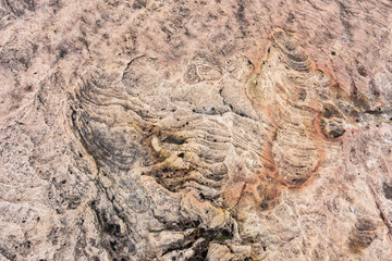 Stones texture for background or backdrop