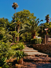 Lovely garden with palms and stairs, Alfabia Gardens Mallorca