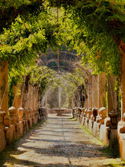 Gärten von Alfabia, Mallorca Attraktion die sich sehr lohnt und schön ist