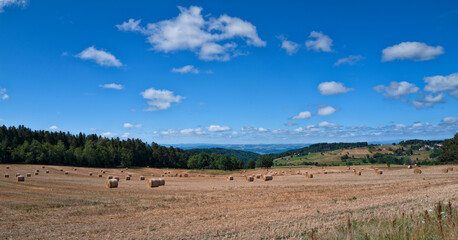 Obraz premium les moissons de juillet 2022 en Auvergne