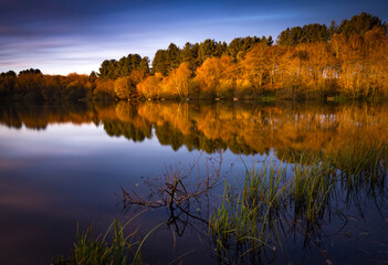 lake in autumn