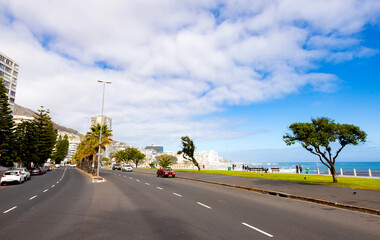 Cape Town, South Africa - May 12, 2022: Rows of palm trees on Sea Point beach front avenue