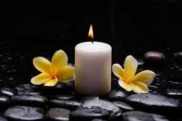 Fototapeta na wymiar Still life of with Plumeria, frangipani with candle zen black stones on wet background