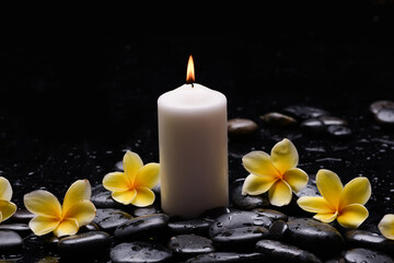 Still life of with yellow Plumeria, frangipani with candle  zen black stones on wet background