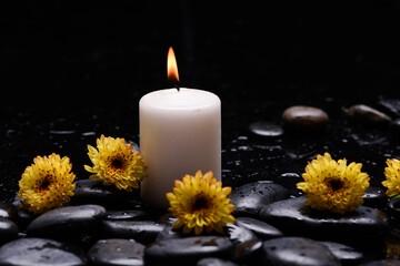 Still life of with 
Five yellow flower , and  candle and zen black stones on wet background
