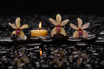 Still life of with 
Yellow orchid  and candle with zen black stones on wet background,
